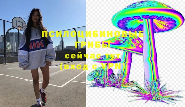 сатива Аркадак