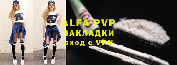 сатива Аркадак