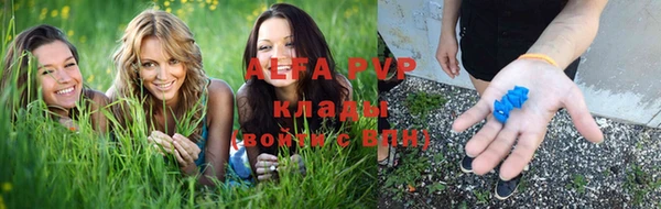 сатива Аркадак