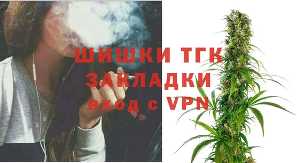 сатива Аркадак