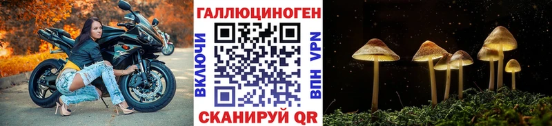 где найти Ликино-Дулёво Псилоцибиновые грибы Psilocybine cubensis
